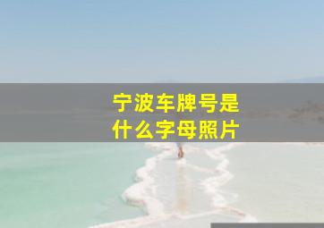 宁波车牌号是什么字母照片