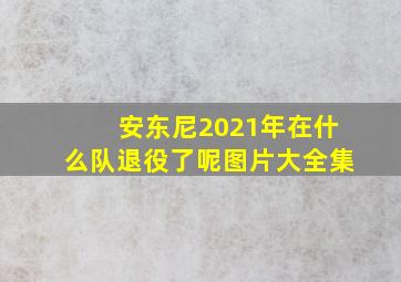 安东尼2021年在什么队退役了呢图片大全集