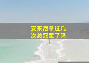 安东尼拿过几次总冠军了吗