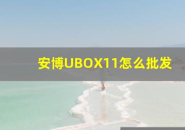 安博UBOX11怎么批发