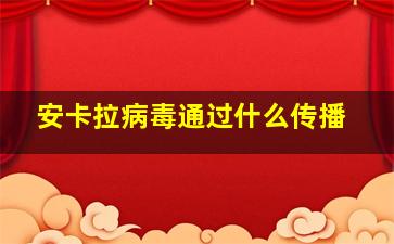 安卡拉病毒通过什么传播