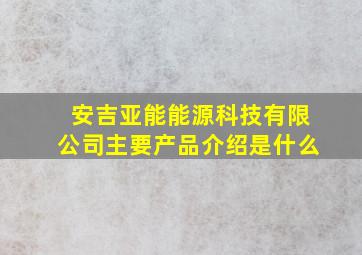 安吉亚能能源科技有限公司主要产品介绍是什么