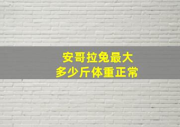 安哥拉兔最大多少斤体重正常