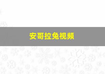 安哥拉兔视频