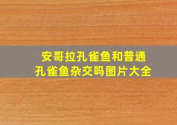 安哥拉孔雀鱼和普通孔雀鱼杂交吗图片大全