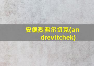 安德烈弗尔切克(andrevltchek)