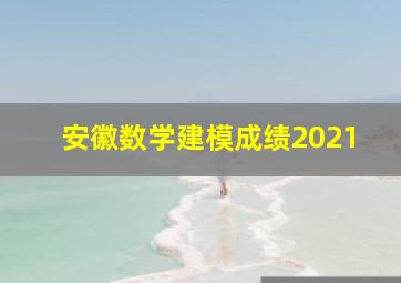 安徽数学建模成绩2021