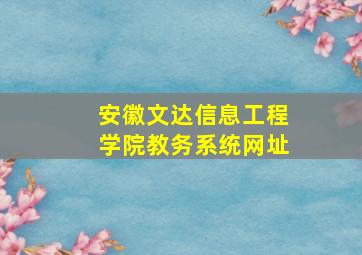 安徽文达信息工程学院教务系统网址