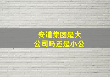 安道集团是大公司吗还是小公