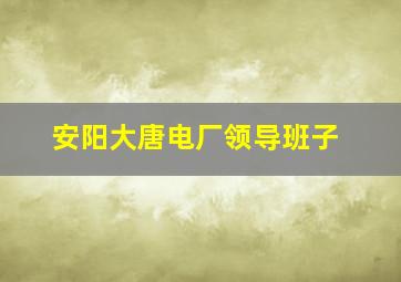 安阳大唐电厂领导班子