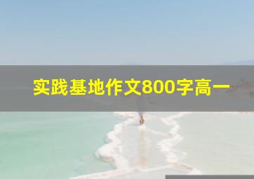 实践基地作文800字高一