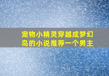 宠物小精灵穿越成梦幻岛的小说推荐一个男主