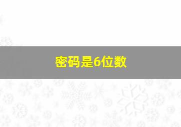 密码是6位数