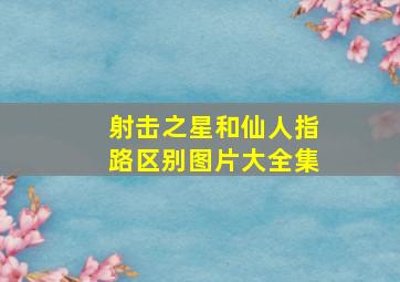 射击之星和仙人指路区别图片大全集