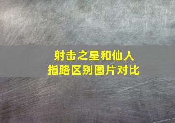 射击之星和仙人指路区别图片对比