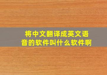 将中文翻译成英文语音的软件叫什么软件啊