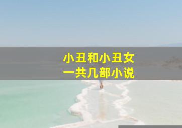 小丑和小丑女一共几部小说