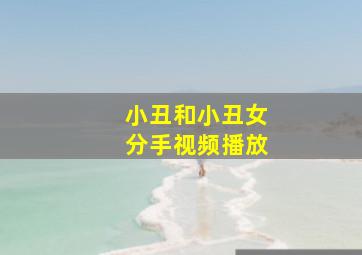 小丑和小丑女分手视频播放