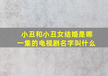 小丑和小丑女结婚是哪一集的电视剧名字叫什么