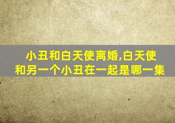 小丑和白天使离婚,白天使和另一个小丑在一起是哪一集