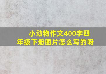 小动物作文400字四年级下册图片怎么写的呀