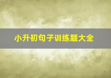 小升初句子训练题大全