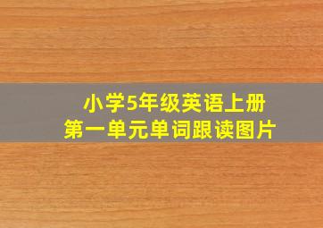 小学5年级英语上册第一单元单词跟读图片