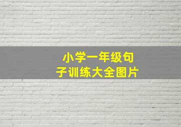 小学一年级句子训练大全图片