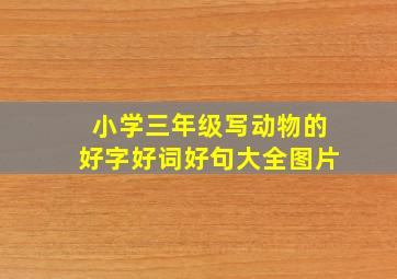 小学三年级写动物的好字好词好句大全图片