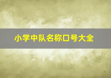 小学中队名称口号大全