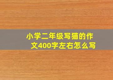 小学二年级写猫的作文400字左右怎么写