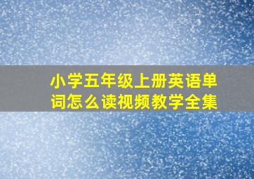 小学五年级上册英语单词怎么读视频教学全集