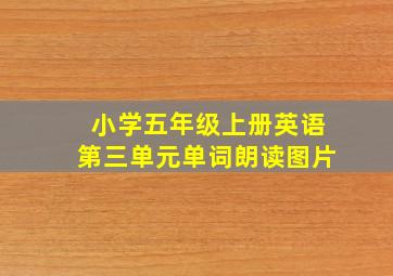 小学五年级上册英语第三单元单词朗读图片