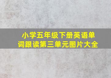 小学五年级下册英语单词跟读第三单元图片大全