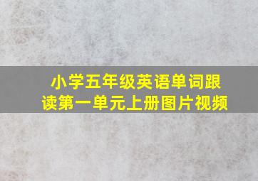 小学五年级英语单词跟读第一单元上册图片视频