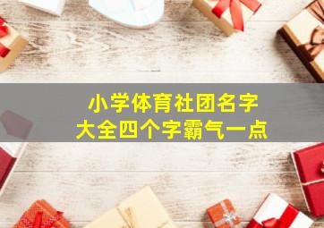 小学体育社团名字大全四个字霸气一点