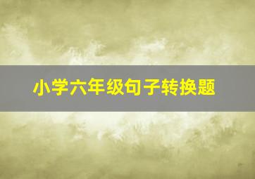 小学六年级句子转换题