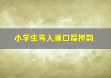 小学生骂人顺口溜押韵