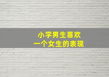 小学男生喜欢一个女生的表现