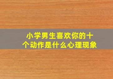 小学男生喜欢你的十个动作是什么心理现象