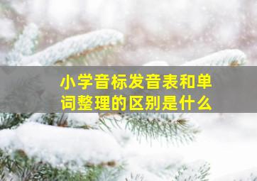 小学音标发音表和单词整理的区别是什么