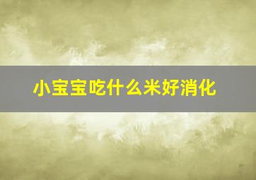 小宝宝吃什么米好消化