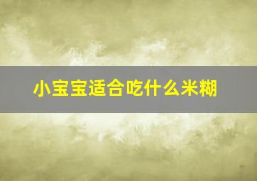 小宝宝适合吃什么米糊