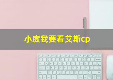 小度我要看艾斯cp