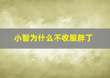 小智为什么不收服胖丁