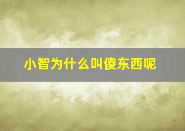 小智为什么叫傻东西呢