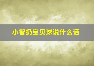 小智扔宝贝球说什么话