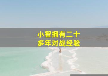 小智拥有二十多年对战经验