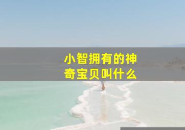 小智拥有的神奇宝贝叫什么