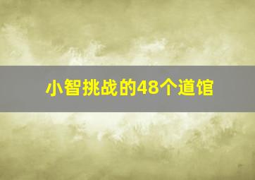 小智挑战的48个道馆